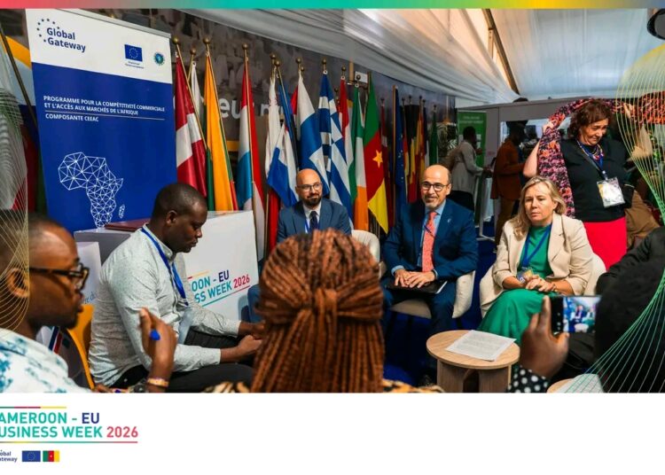 financement des PME-l'union europeenne dévoile ses mécanismes de financement aux PME