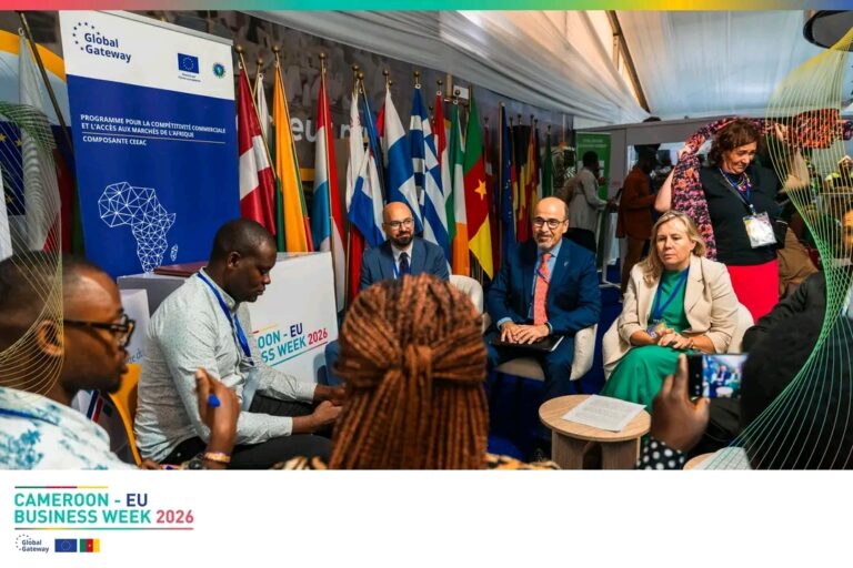financement des PME-l'union europeenne dévoile ses mécanismes de financement aux PME