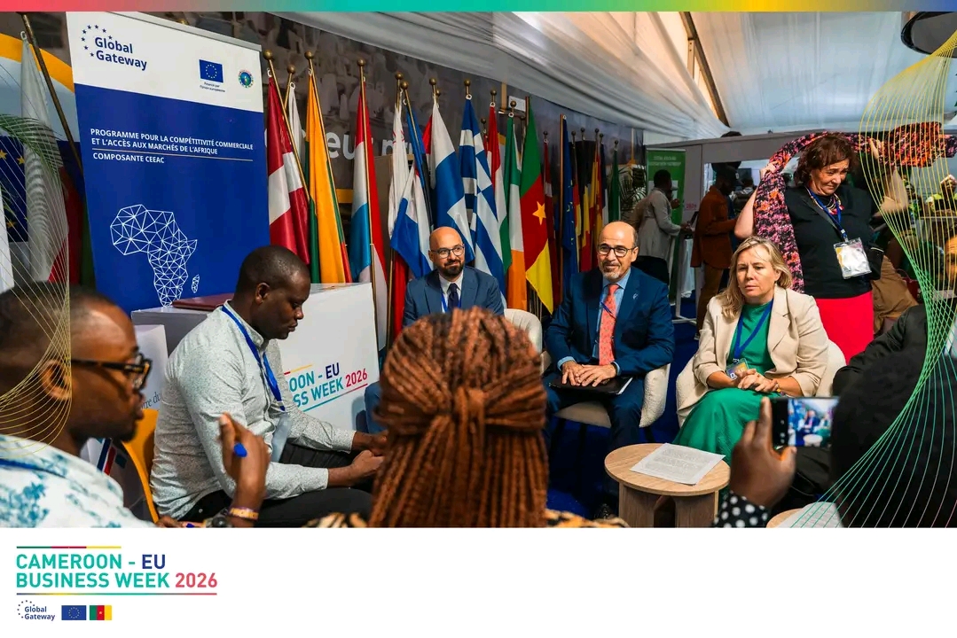 financement des PME-l'union europeenne dévoile ses mécanismes de financement aux PME